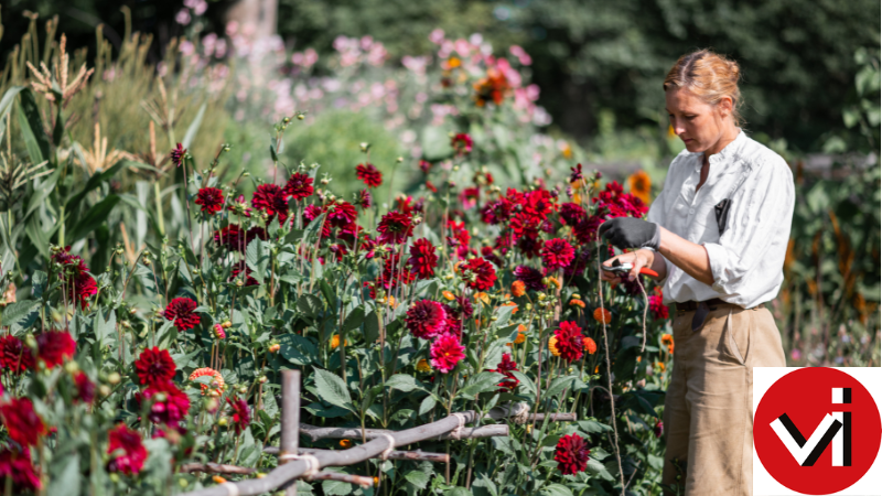 Vstkustens trdgrdar med Elisabeth Svalin Gunnarsson och Gunilla von Platen 1114 juni 2025